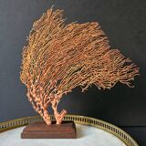 Red Gorgon Wooden Base. H: 32 cm | Decorative Object & Curiosity