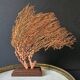 Red Gorgon Wooden Base. H: 32 cm | Decorative Object & Curiosity