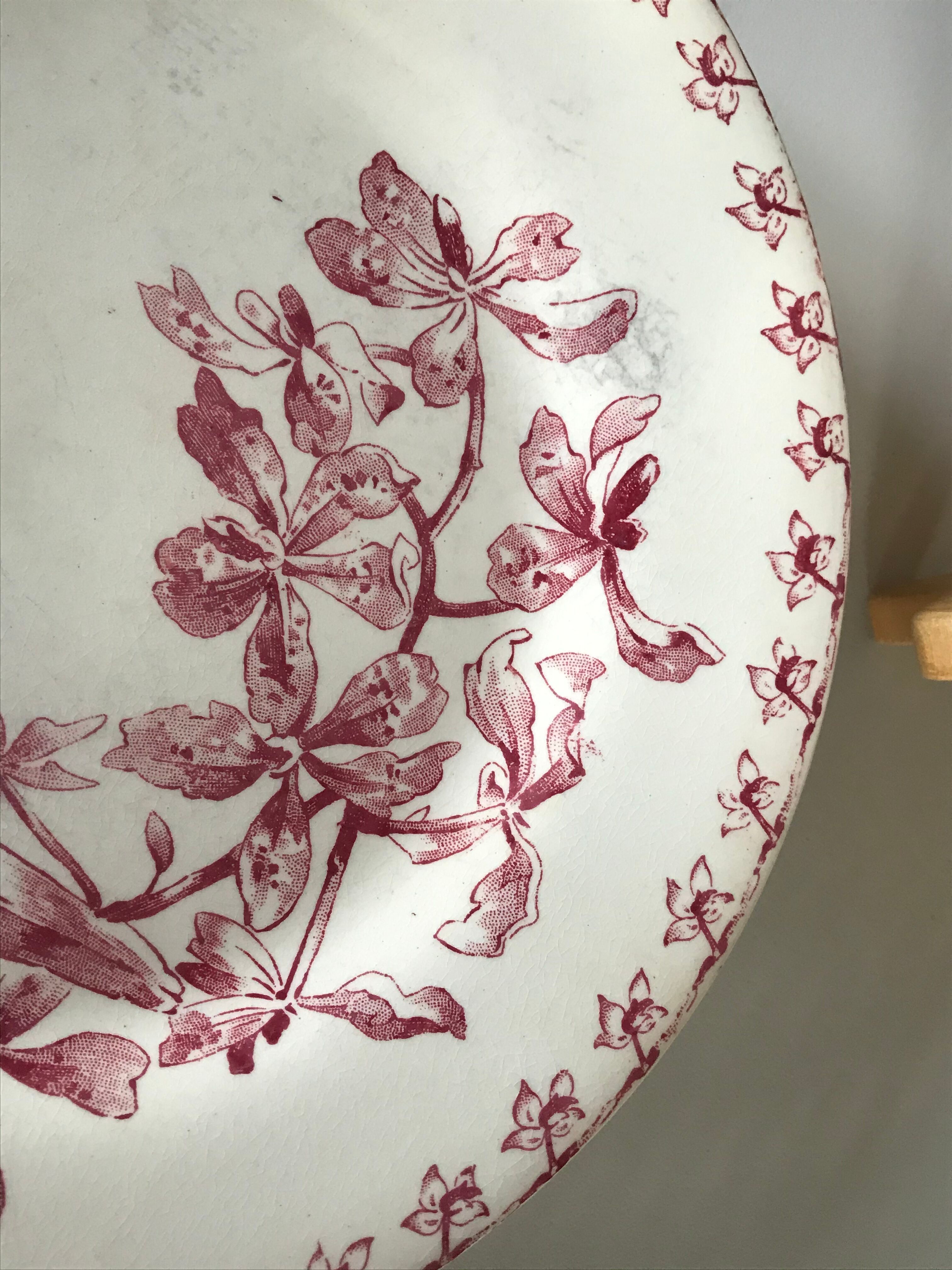 Lot of 6 plates Gien Iron Earth