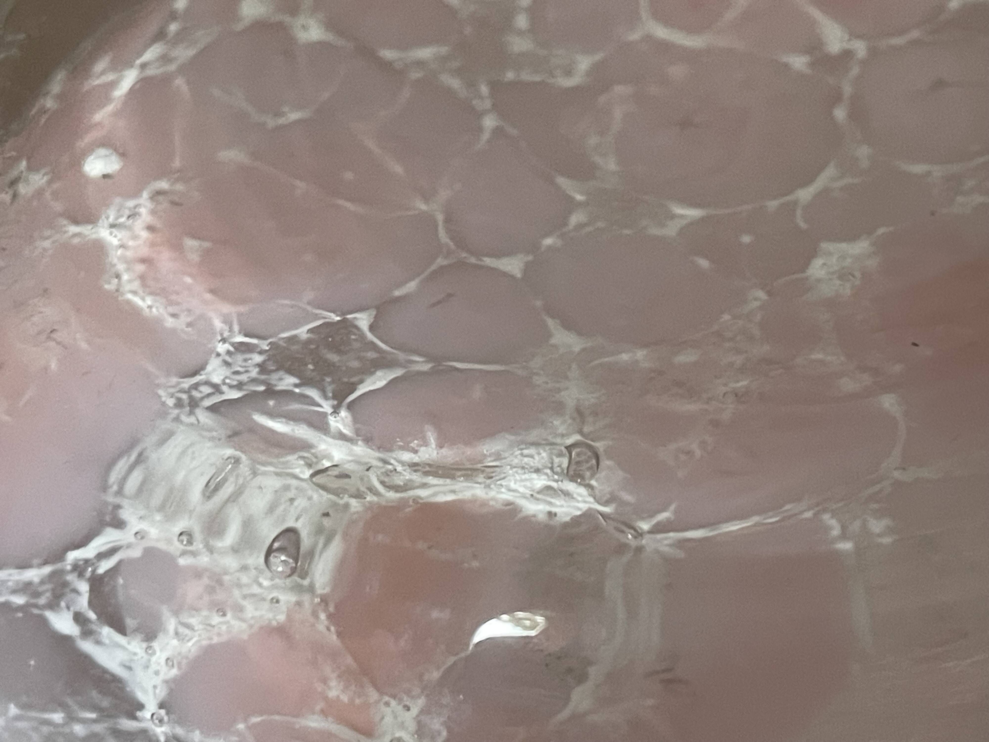 Marbled pink blown glass art vase, La Rochère