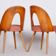 Pair of Mid Century chairs made in 1950s Czechia, designed by Antonín Šuman