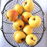 Basket wire mesh metal