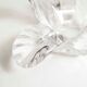 Empty floral pocket crystal of transparent arques signed