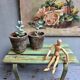 Banc tendance wabi sabi