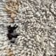Berber rug Azilal 80x210 cm