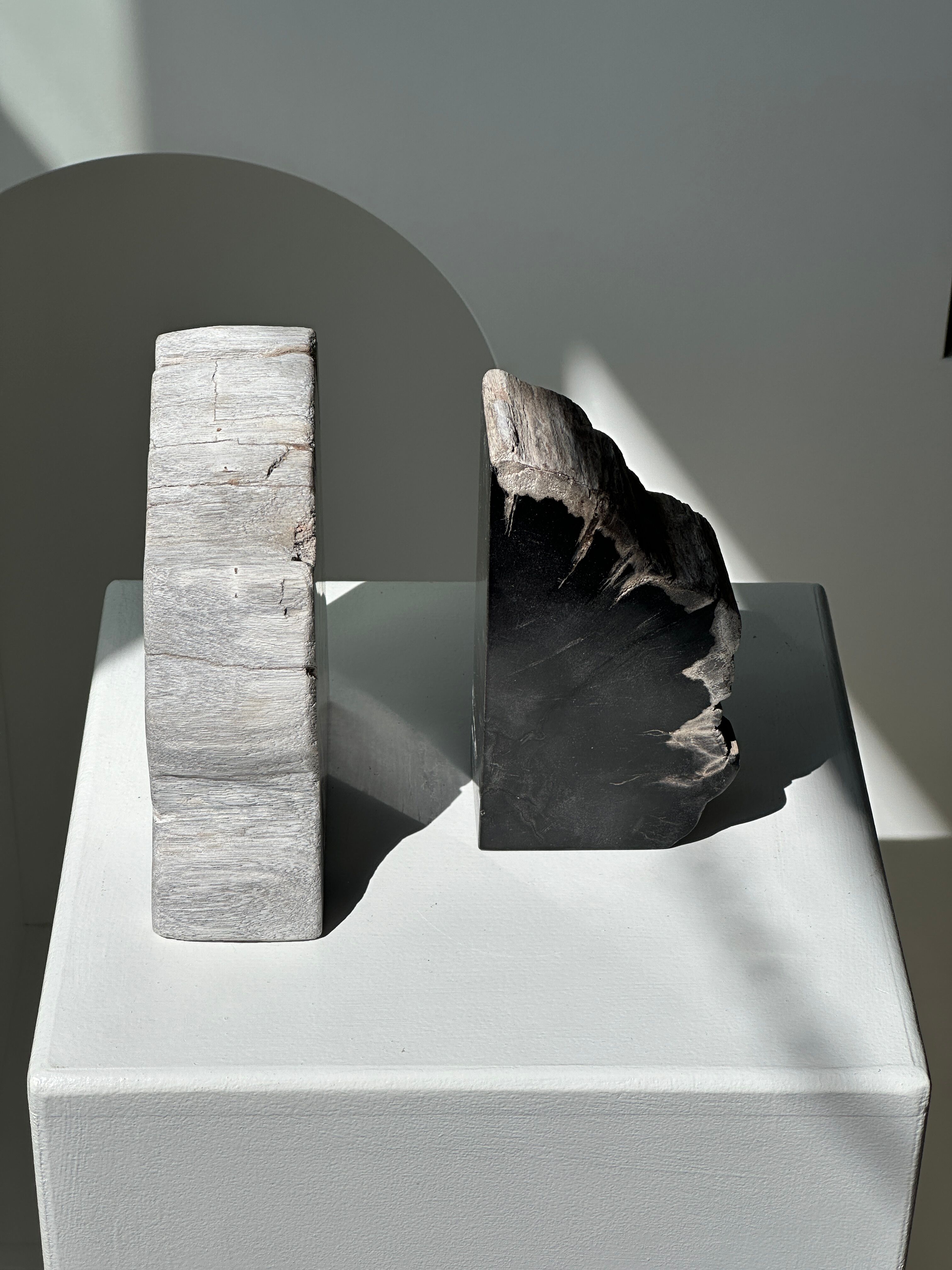 Black petrified wood bookend H17 L17 P6