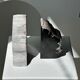 Black petrified wood bookend H17 L17 P6