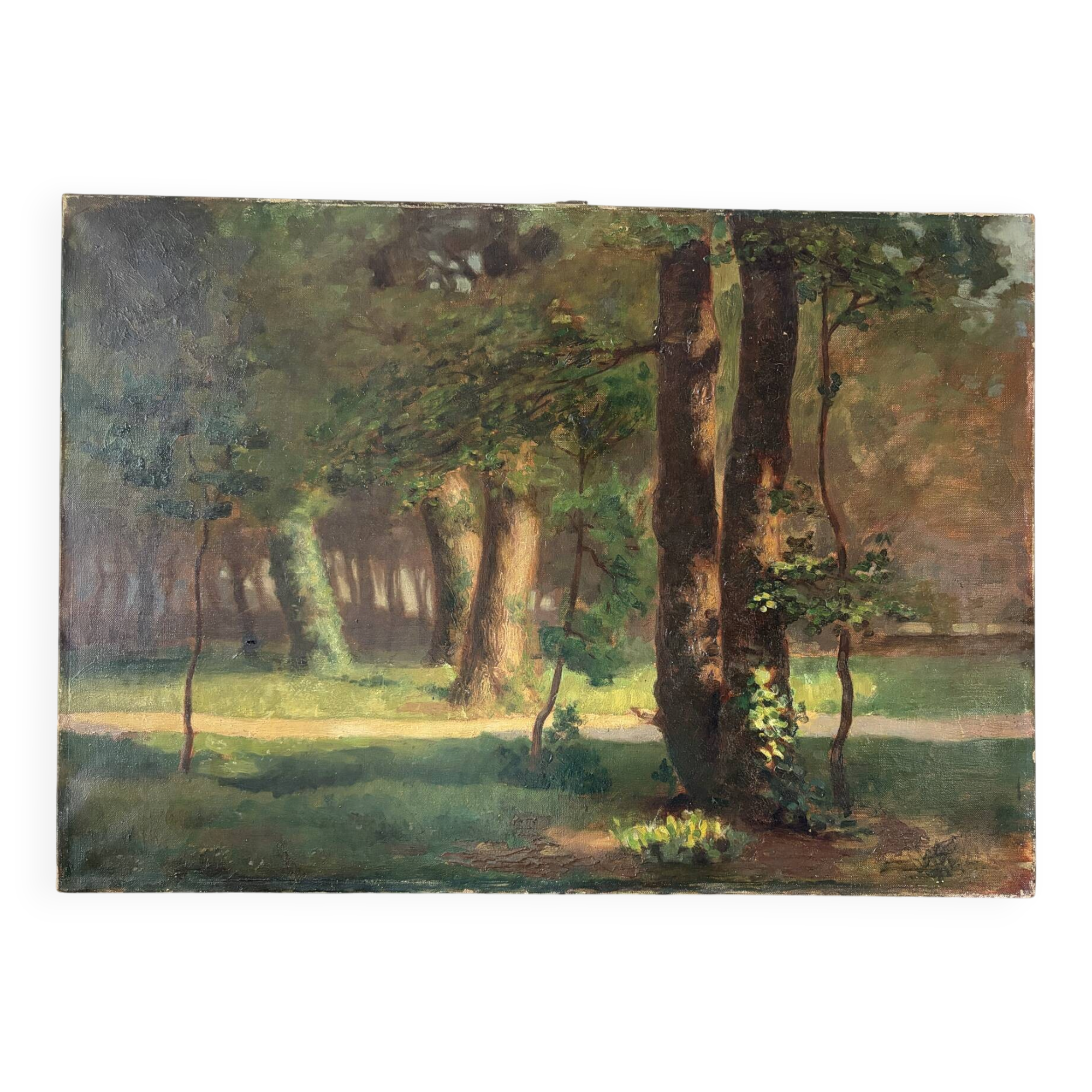 Lumière en Sous‑Bois, huile sur toile