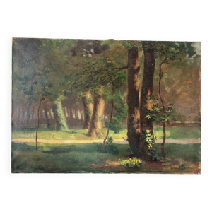 Lumière en Sous?bois, - toile