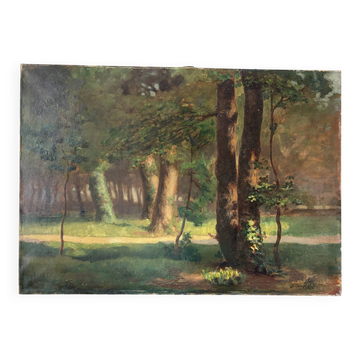 Light in Underwood, oil on canvas