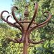 Vintage parrot coat rack in raw wood, renovated.