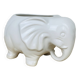 Ceramic elephant plant pot