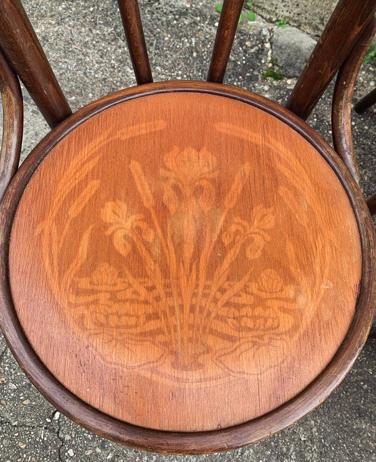 Bentwood bistro chairs in Art Nouveau style