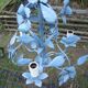 Lustre fleuri blue enamelled sheet chandelier 80s vintage