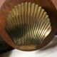 Flat scallop