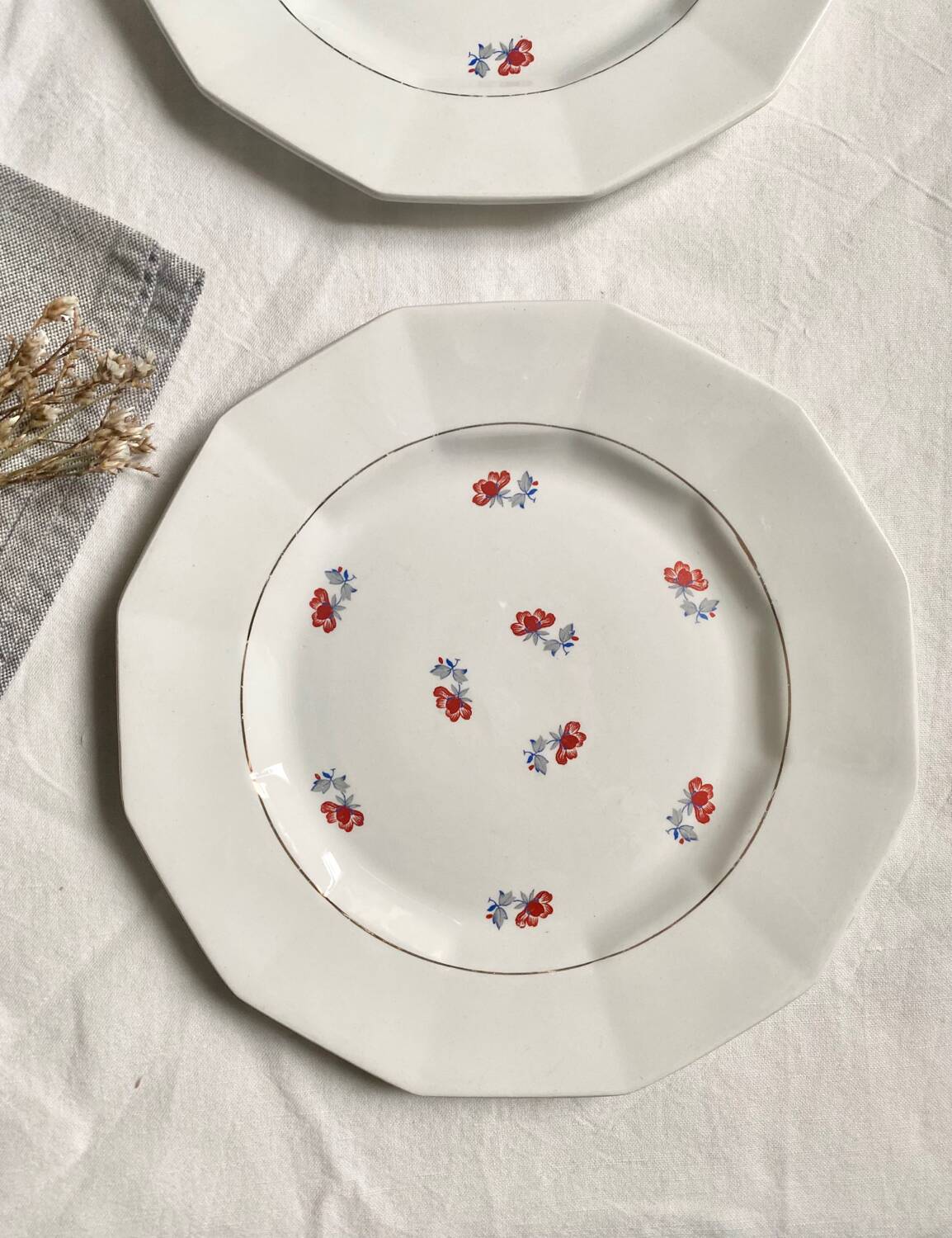 Dinner plates