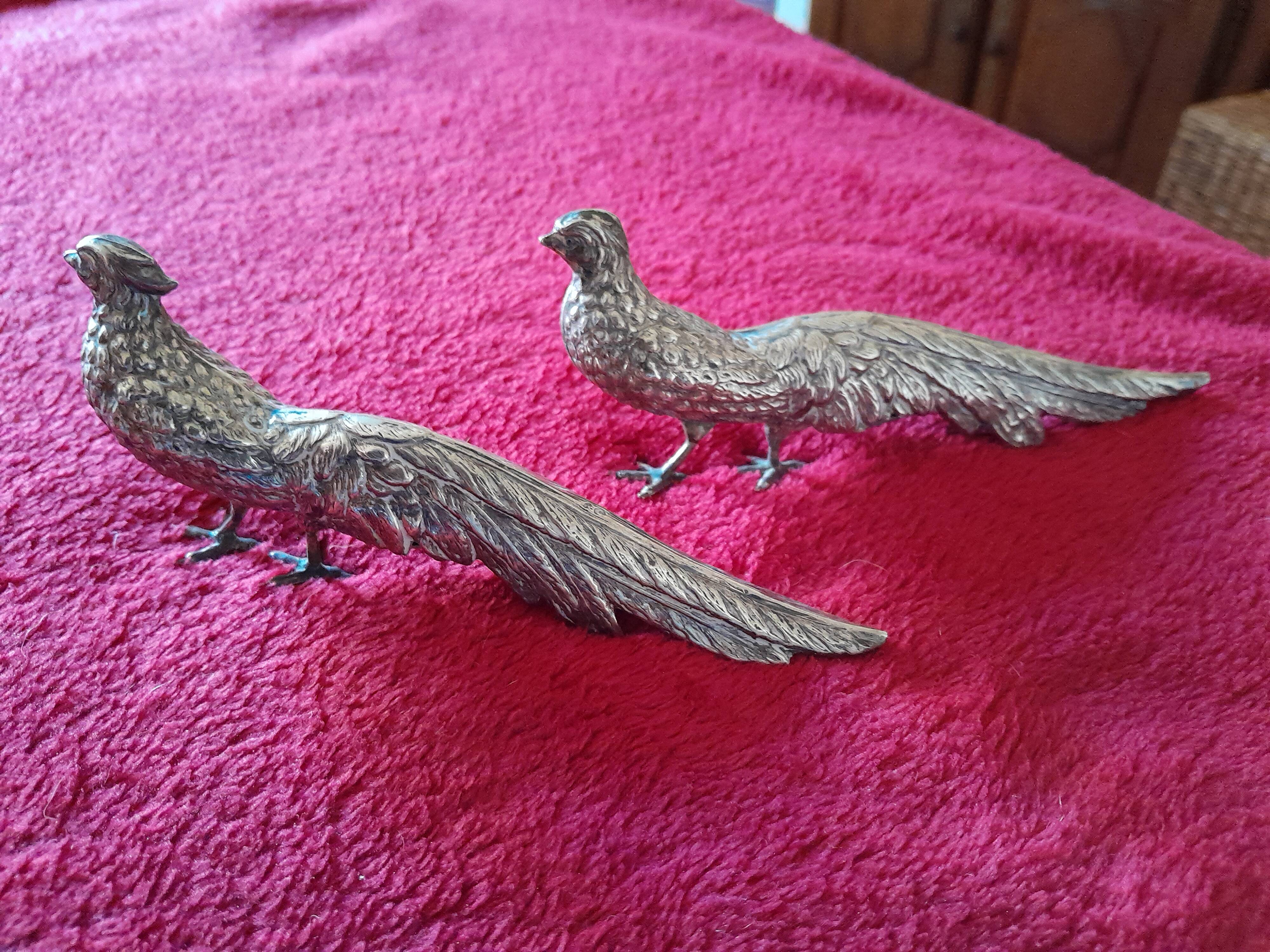 Two silver pheasants