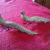 Two silver pheasants