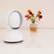 Table lamp "Eclisse" by Vico Magistretti for Artemide, Italy, 1965