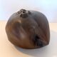 Brown Lacquered Ceramic Tulip Vase / Centerpiece by Giacomo Onestini