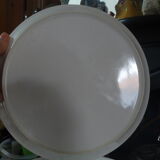 Oyster plates and shellfish