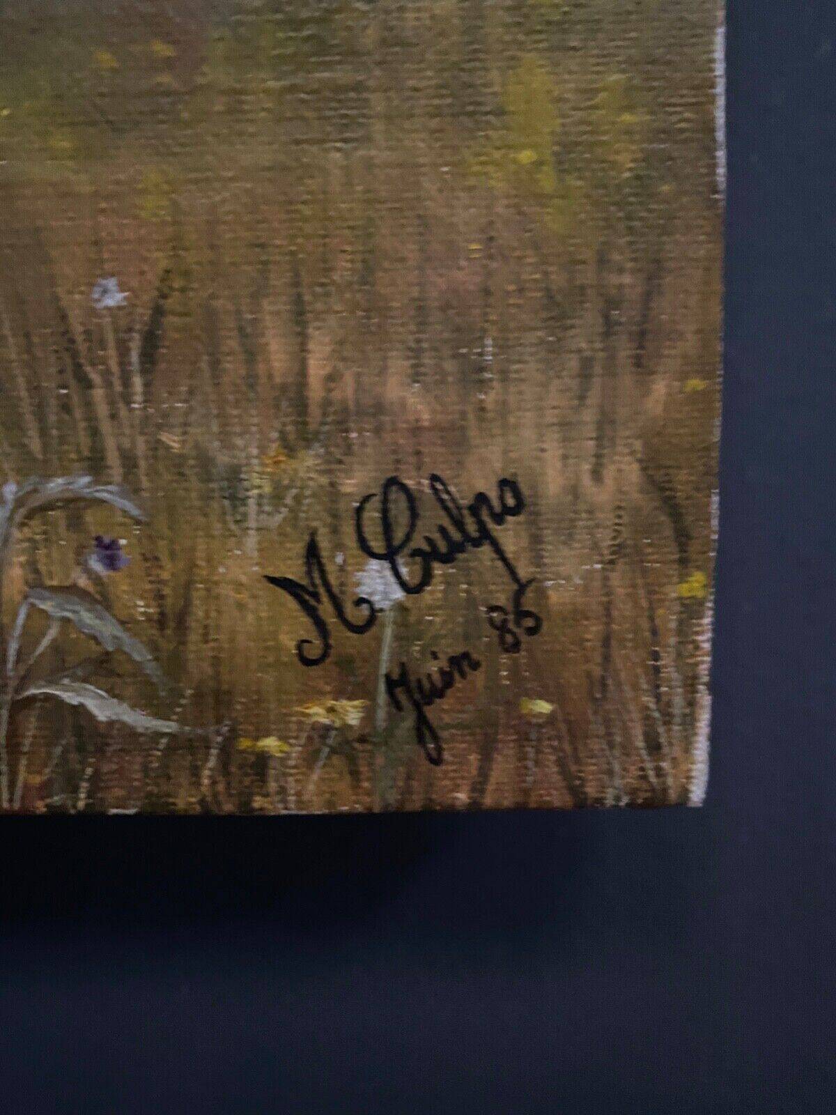 Oil on canvas by Michèle Culpo June 85 mountain landscape 20th century