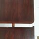 Rio 1950 rosewood table