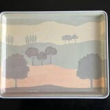 ALPAC tray 80s