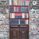 Large old trompe l'oeil library panel, vintage decoration