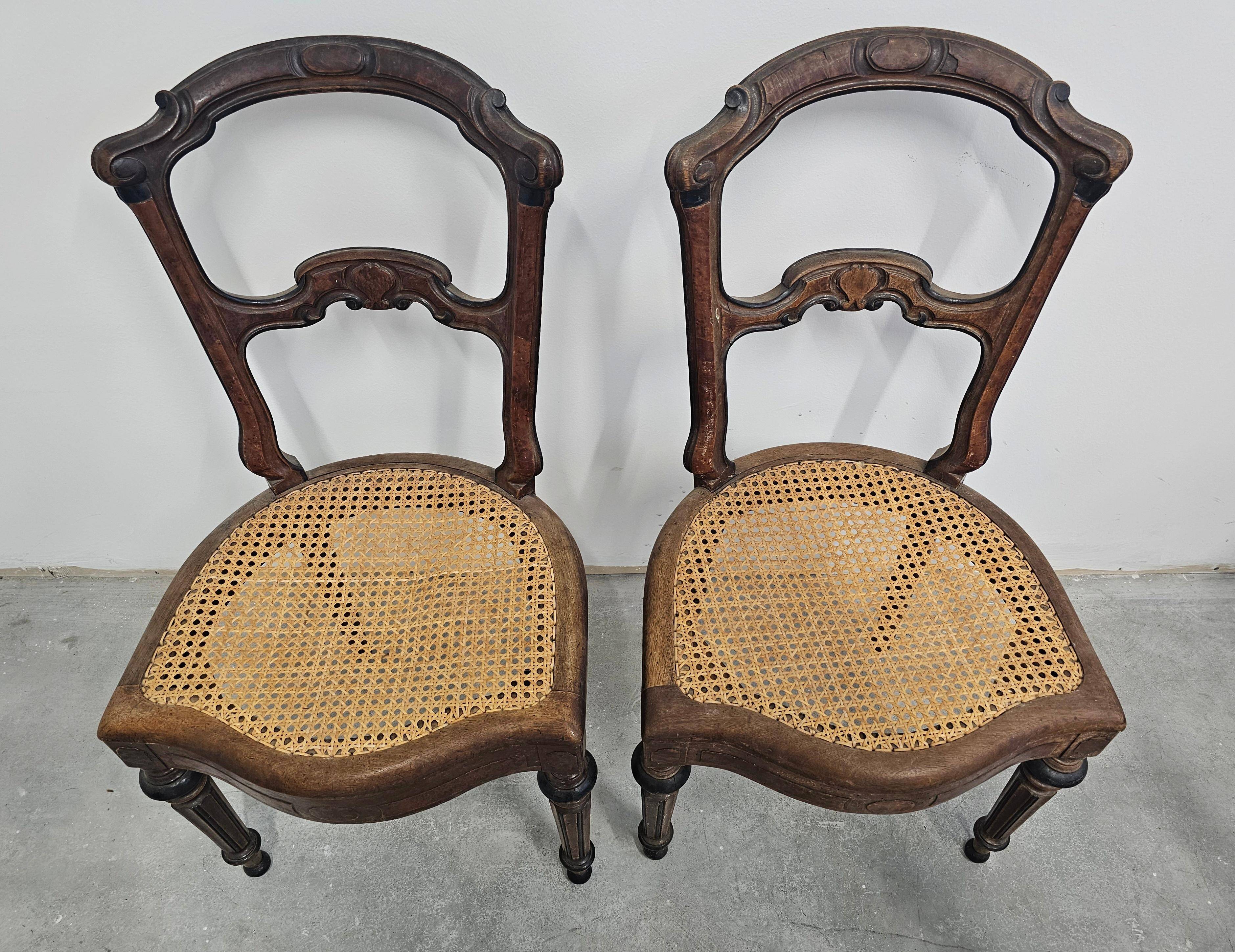 Set of 6 antique dining chairs in solid walnut, cane seats, 19th century.