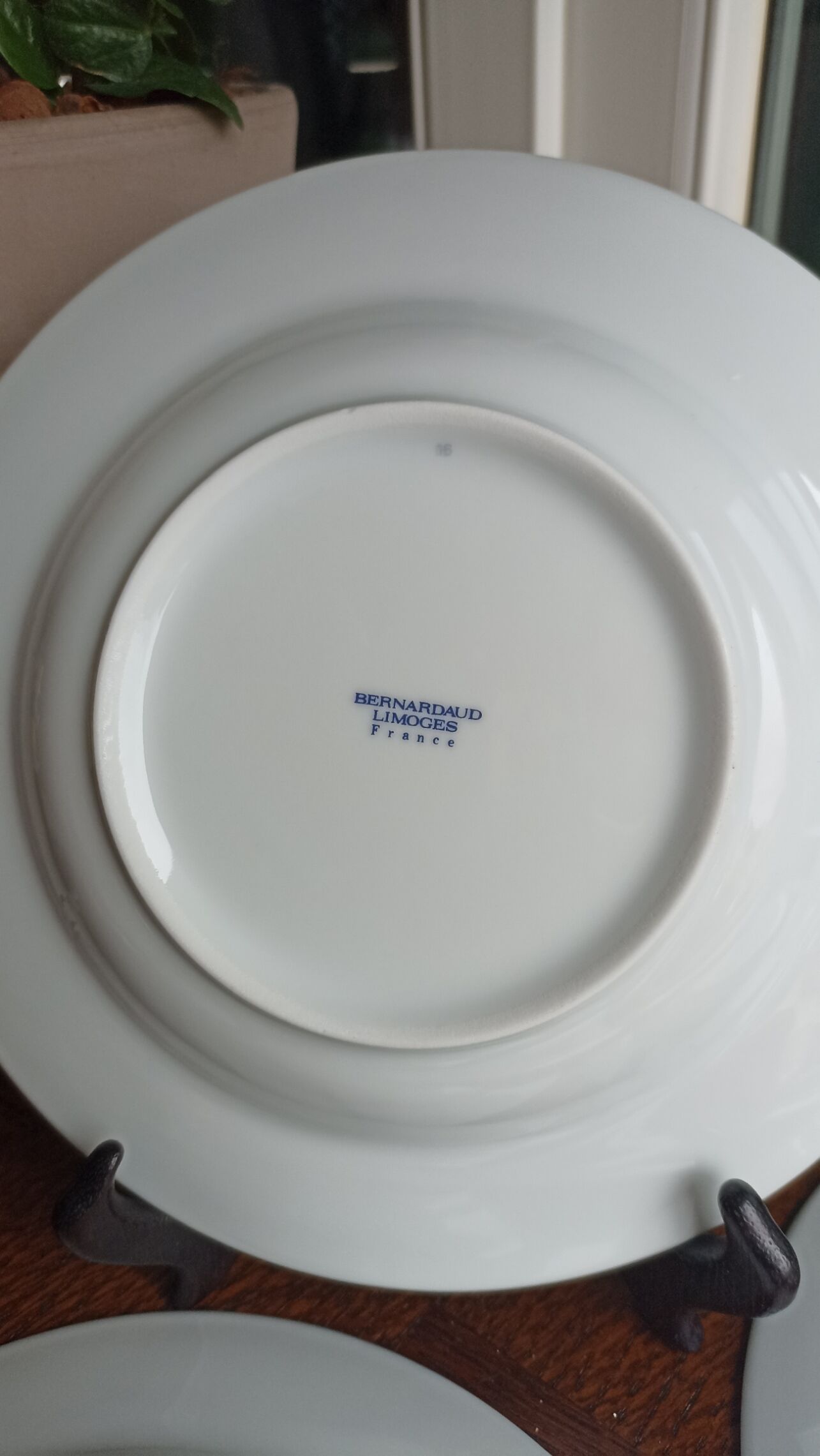 5 hollow plates in Limoges porcelain by Bernardaud - Lhasa Soap