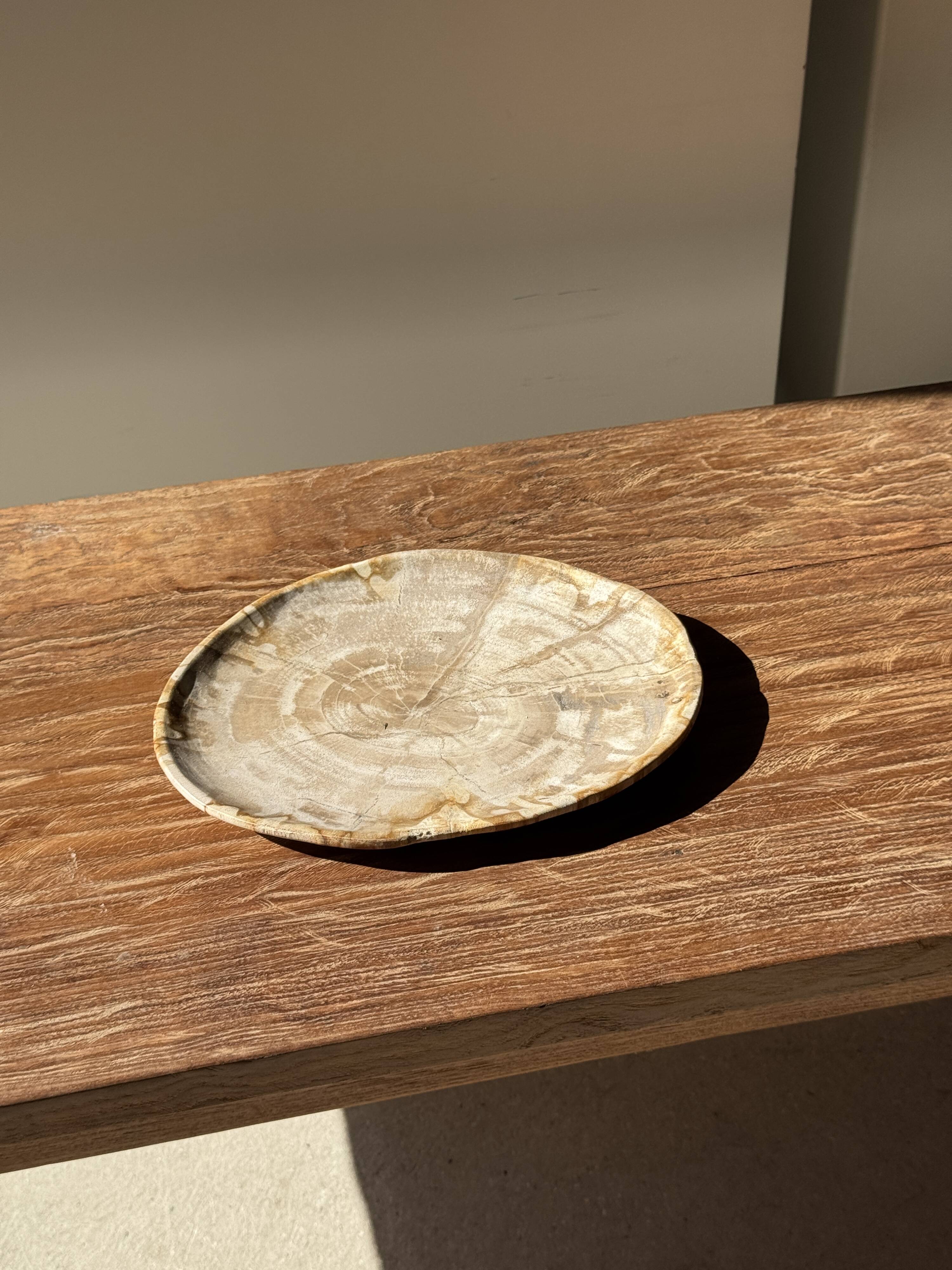 Small oval beige petrified wood dish or tray with speckled edges.