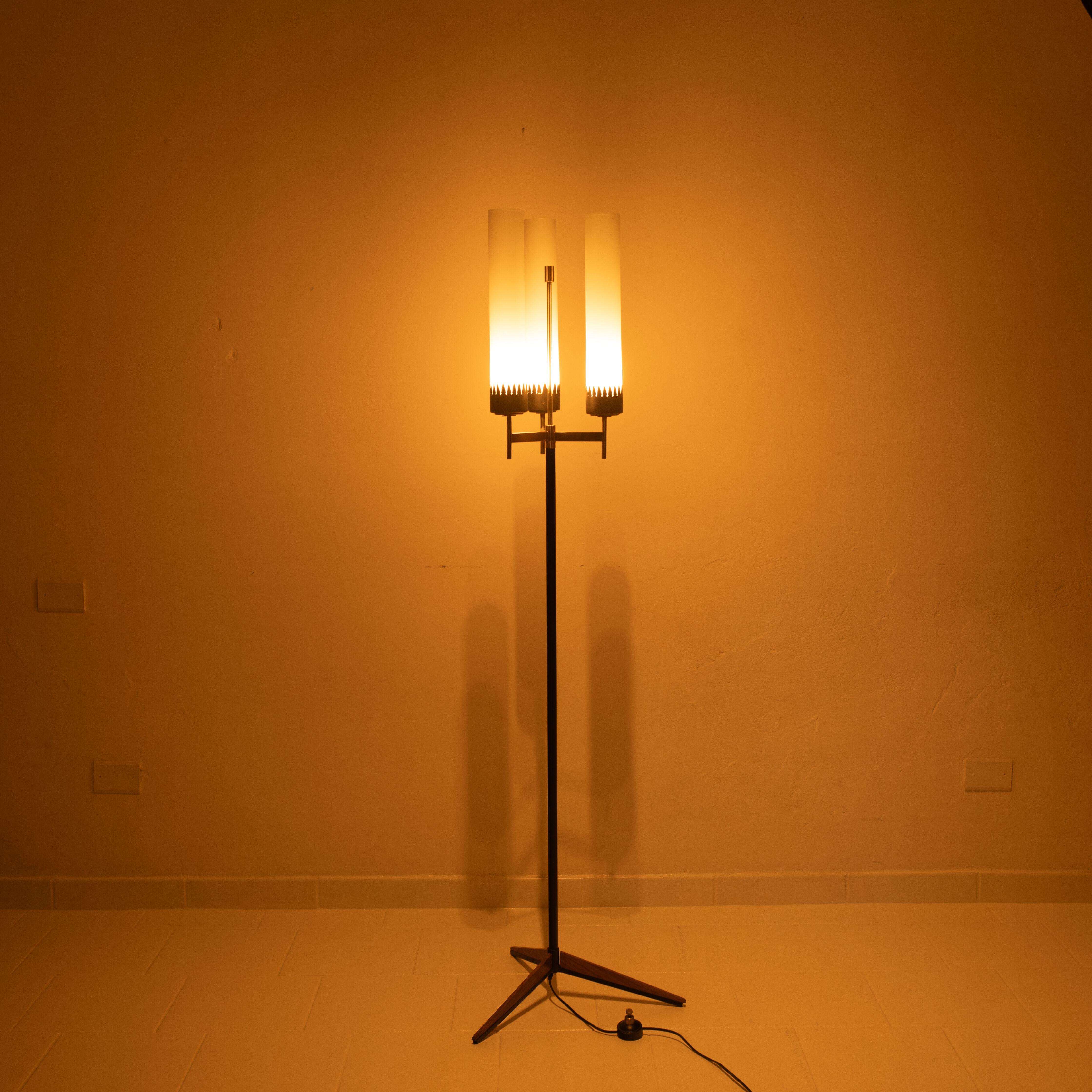 Three-Arm Floor Lamp by Stilnovo, 1950s