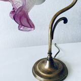 Paire de lampe col de cygne