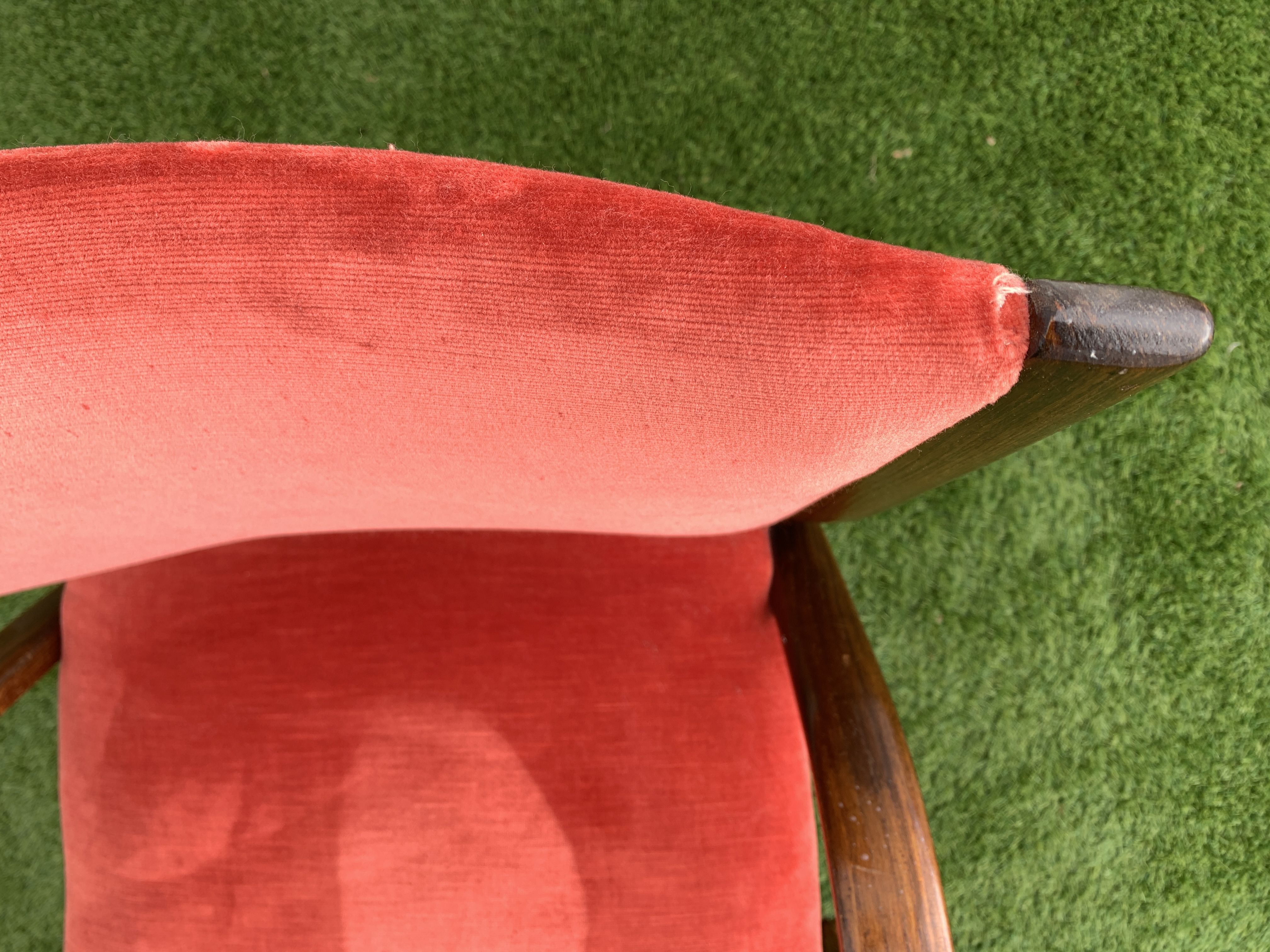 Hugues Steiner armchair, bow-wood model, curved wood and velvet, 1950