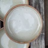 6 stoneware dessert plates