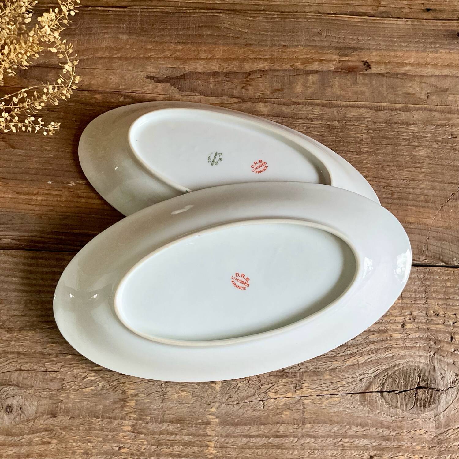 Duo of ravines DRB Limoges