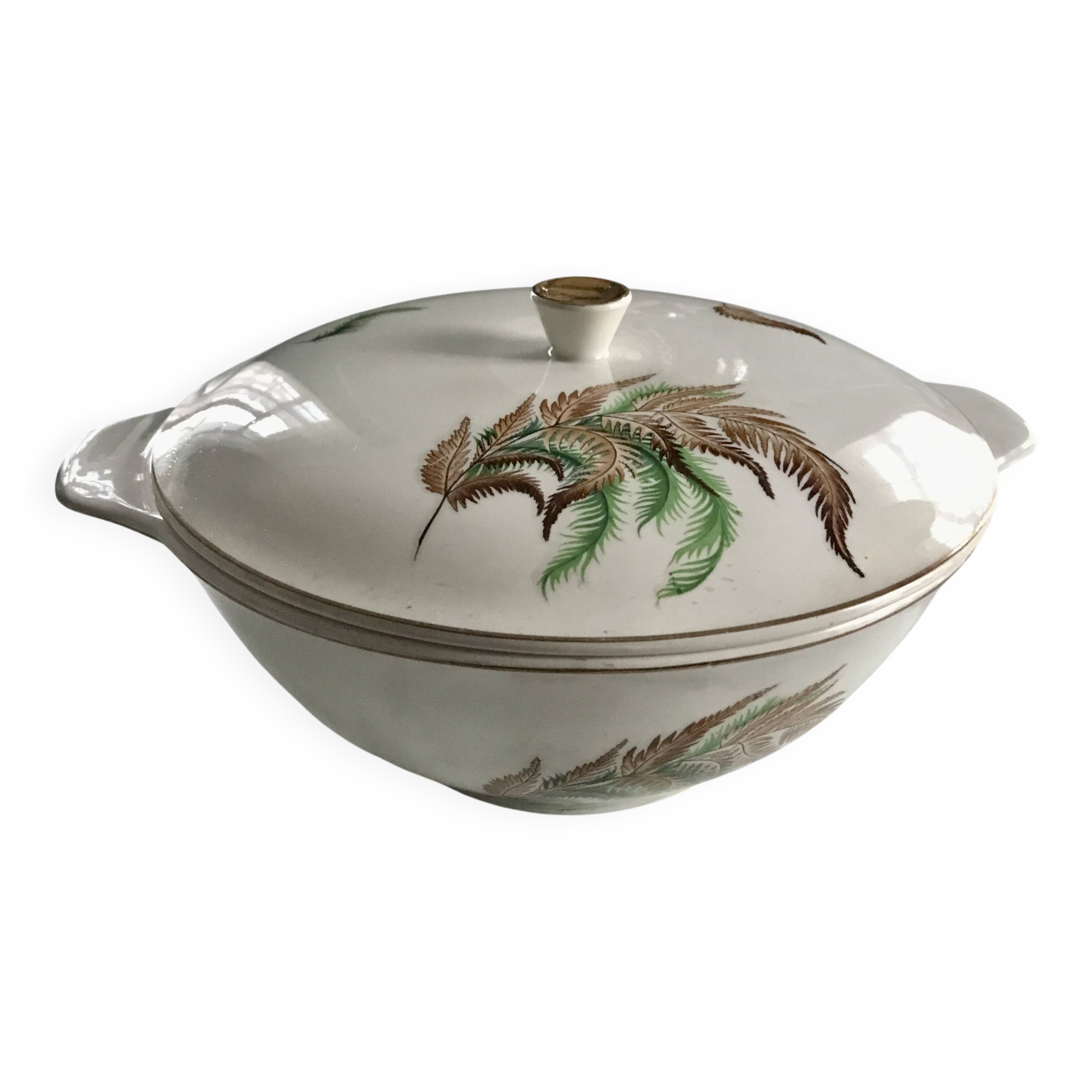 Very pretty vintage Digoin Sarreguemines fern soup tureen