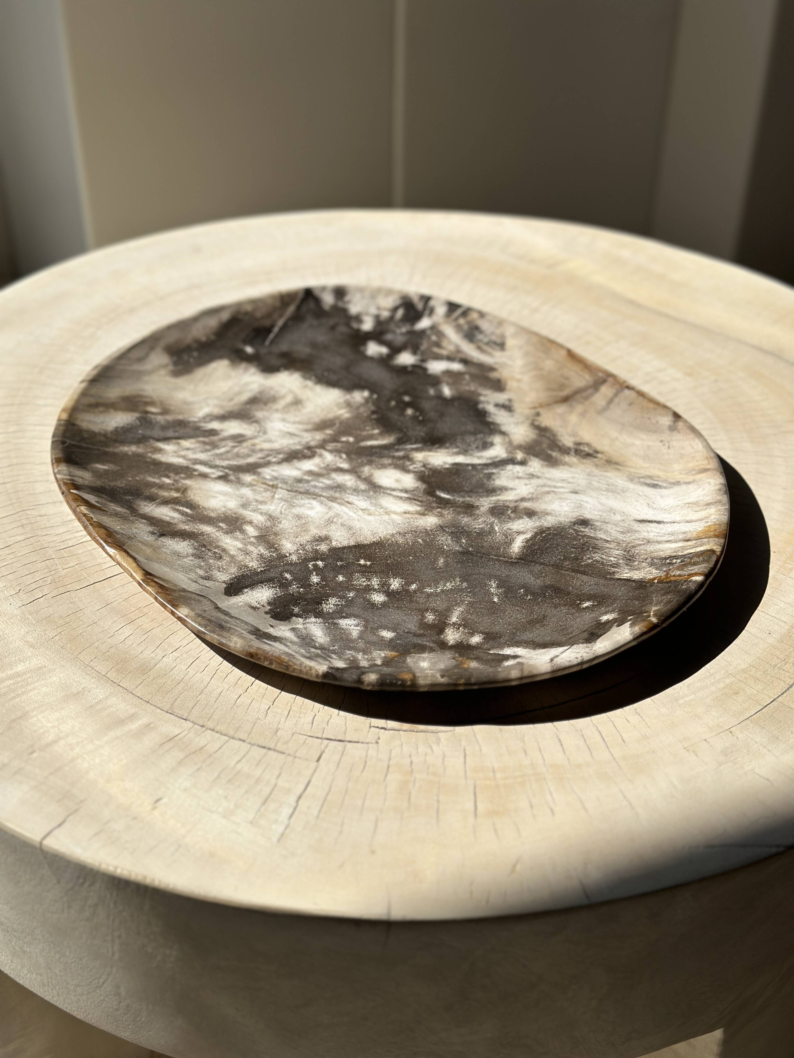 Very large pocket or dish in petrified wood
