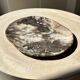 Very large pocket or dish in petrified wood