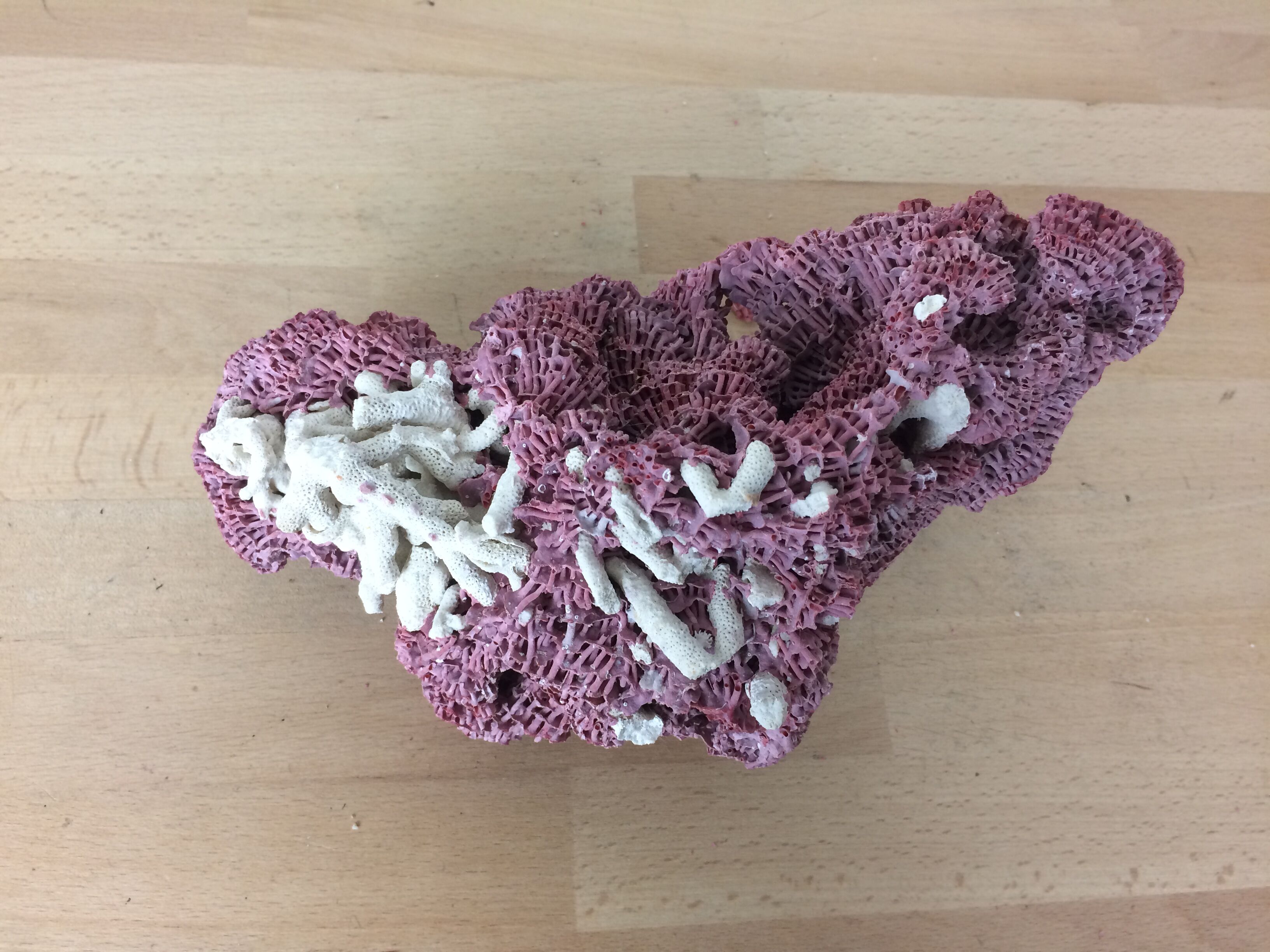 Old pink coral 24 cm