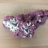Old pink coral 24 cm