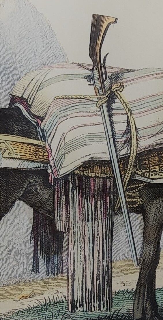 Original zoological illustration "mule" - Buffon 1840