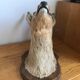 Taxidermy deer head