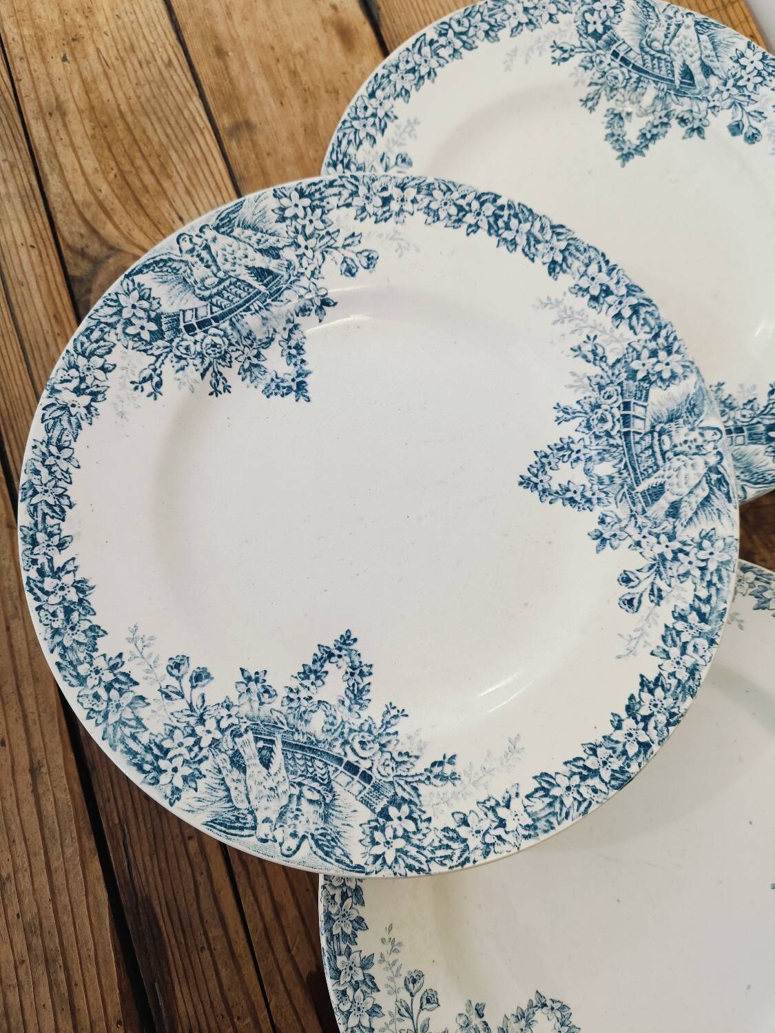 St Amand Lebacqz & Bouchart “Colombier” plates