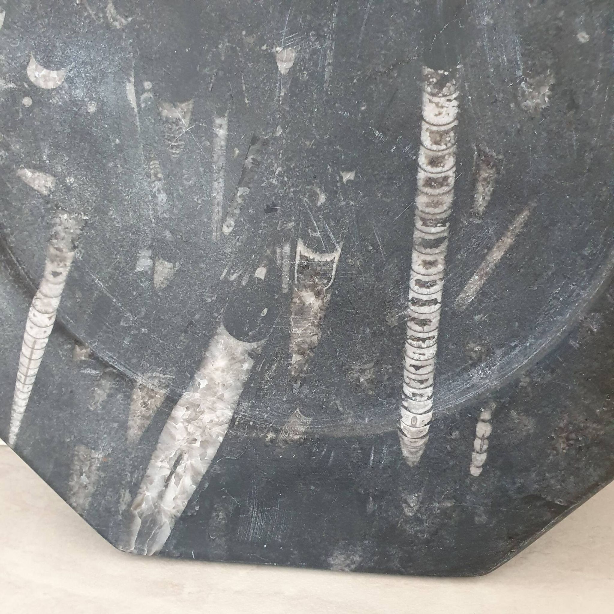 Decorative plate made of fossilised orthoceras marble.