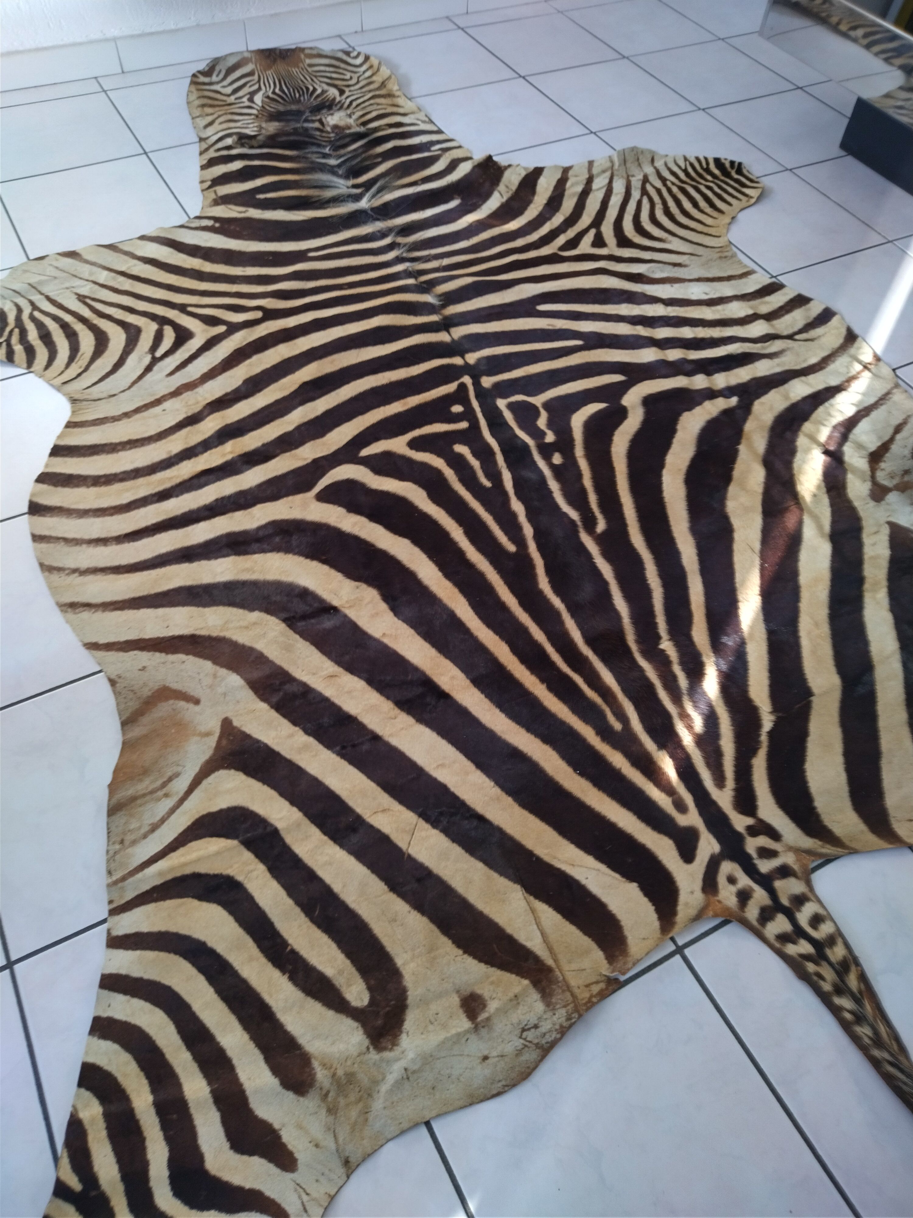 Zebra skin
