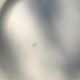 Lot of 6 flat plates Salins iron earth, 1930s