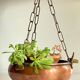 Vintage 3 buffalo hanging planter