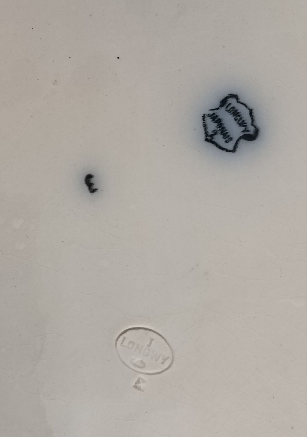 Longwy Japanese model serving dish